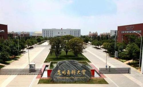 2020昆明医科大学研究生招生第二批接收调剂专业