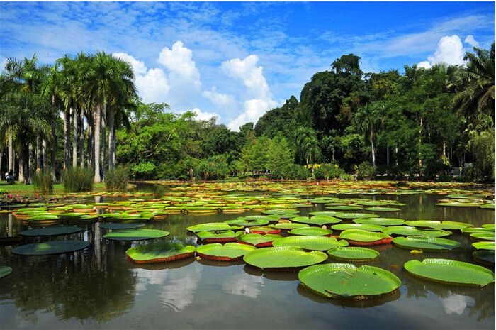 中国科学院西双版纳热带植物园2021年研究生招生专业目录